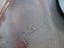 Immagine 6