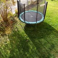 Trampolino elastico. 300 cm di diametro