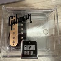 Gibson classic 57 Plus Zebra