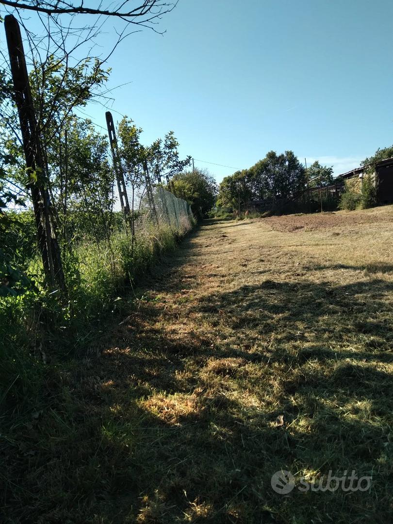 Terreno pianeggiante - Vista 2