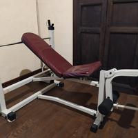 Panca fitness Gold Gym