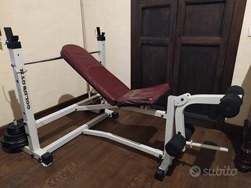 Panca fitness Gold Gym