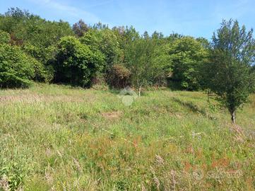 TER. AGRICOLO A CICAGNA