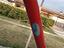 Immagine 5