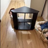 Acquario con il tavolo piu la polpa