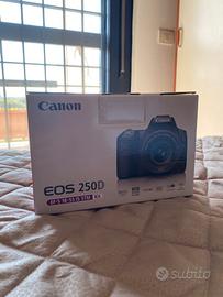 Canon 250d con due obiettivi (18-55 e 75-300)