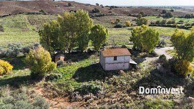 Rustico / Casale di 300 m² con 5 locali a Capalbio
