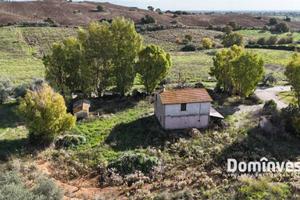 Rustico / Casale di 300 m² con 5 locali a Capalbio