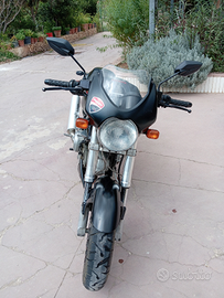 Ducati monster 600