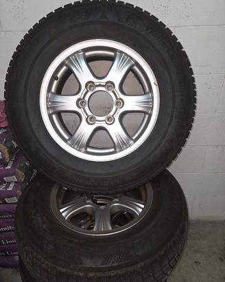 Cerchi + Gomme Great Wall Steed my 2021