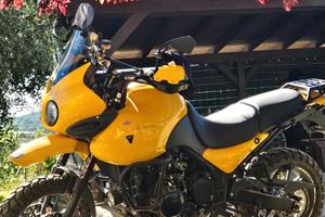 Triumph tiger 955i 2006