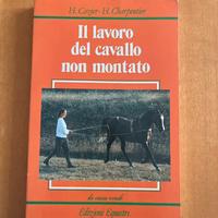 Libro cavallo