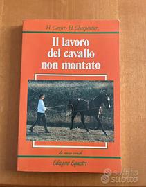Libro cavallo