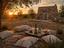 Immagine 12