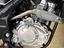 Immagine 11