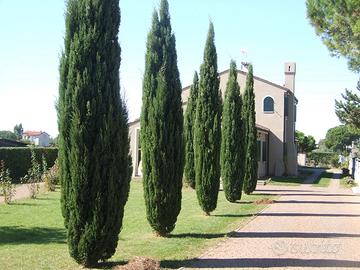 Casa padronale a 5 minuti dal mare 3485109755