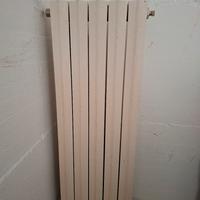 Termosifone in ghisa