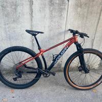 Lee cougan  29 polici 