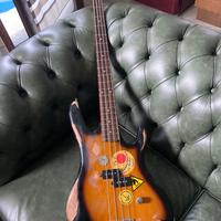Basso washburn Relic