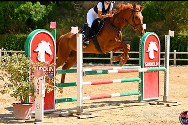 Splendida Cavalla italiana (AA) di 7 anni