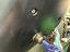 Immagine 13