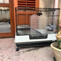 Gabbietta per Conigli Porcellini d'India