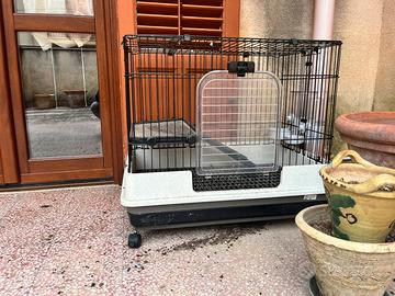 Gabbietta per Conigli Porcellini d'India