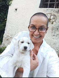 Nuova famiglia per cuccioli abbandonati