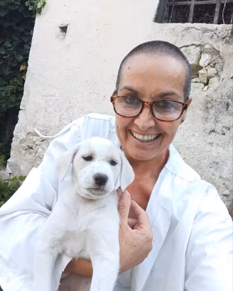 Nuova famiglia per cuccioli abbandonati
