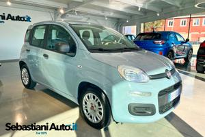 Fiat Panda 1.0 FireFly S&S Hybrid *PREZZO REALE*