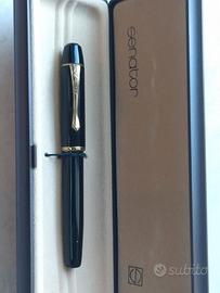 Penna stilografica Senator Regent