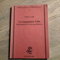 "La saggezza folle" di M. Valli