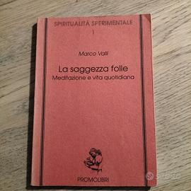 "La saggezza folle" di M. Valli