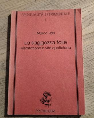 "La saggezza folle" di M. Valli