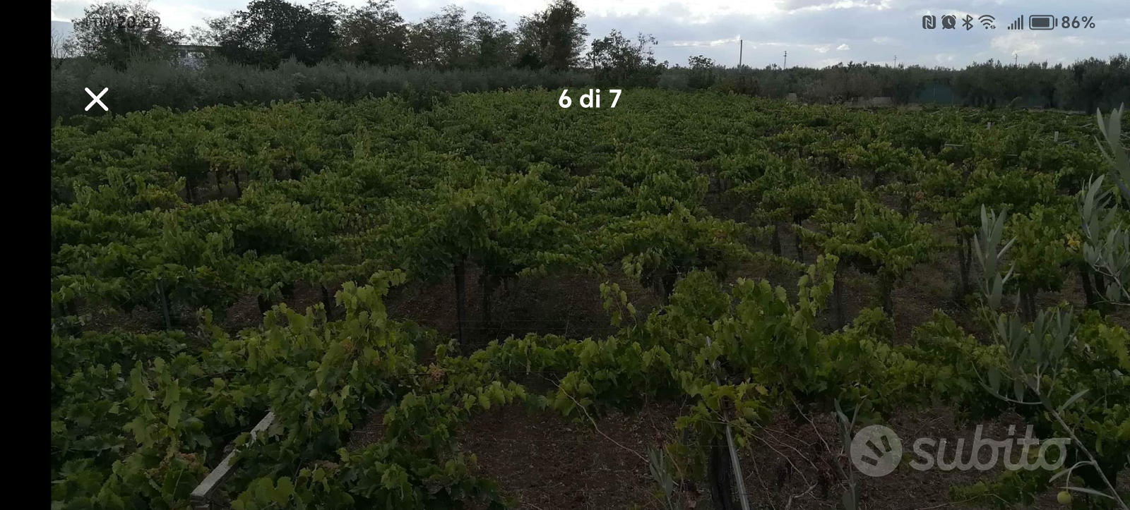 Terreno agricolo - View 3