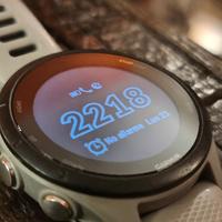 Garmin Forerunner 255s