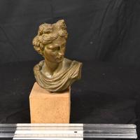 Busto Apollo del Belvedere in bronzo - Vintage