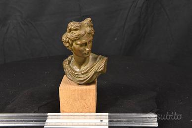 Busto Apollo del Belvedere in bronzo - Vintage