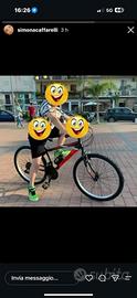 Bicicletta