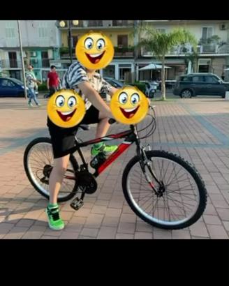 Bicicletta