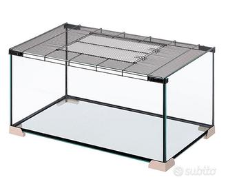 Teca in vetro nuova