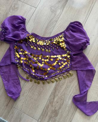 Top+pantaloni danza del ventre aladdin