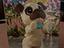 Immagine 1