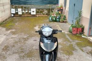 Sh 125