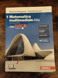 matematica multimediale blu 1