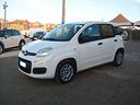 fiat-panda-1-2-bz-easy-2019-