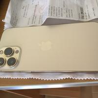 IPhone 13 pro max 256 giga oro