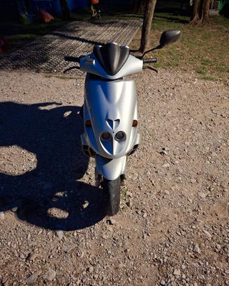 scooter motl