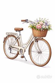 Bicicletta Donna 26’ o 28’