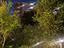 Immagine 19